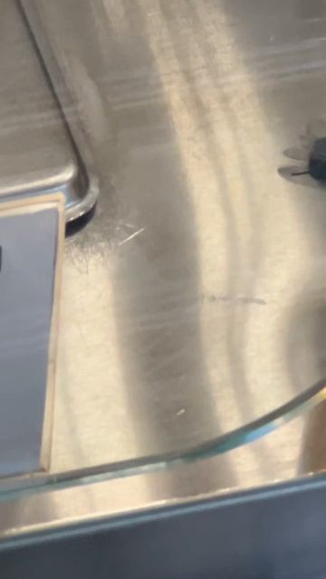 Мухи опаснее, чем вы думаете…