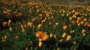 Воздай Ему хвалу и честь (караоке)