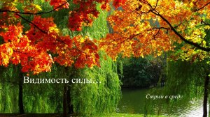 Видимость силы