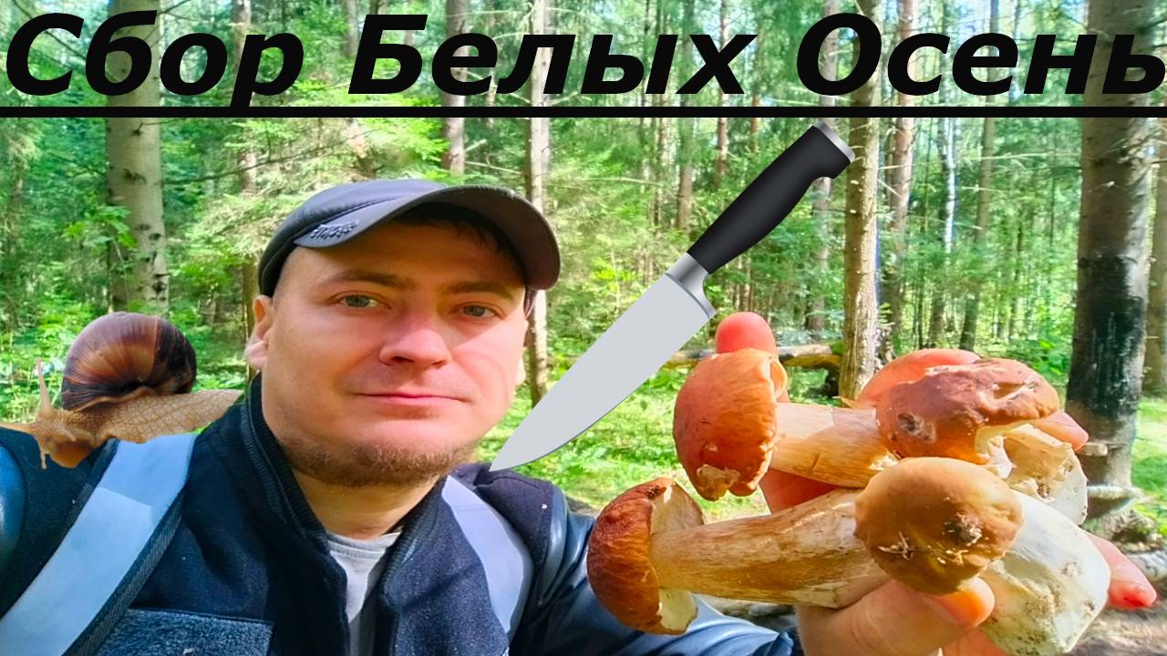 Грибник Ловко Метает Ножи и Соберает Грибы