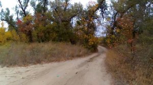 озеро проран