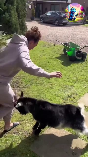 Смотри и наслаждайся смотреть онлайн