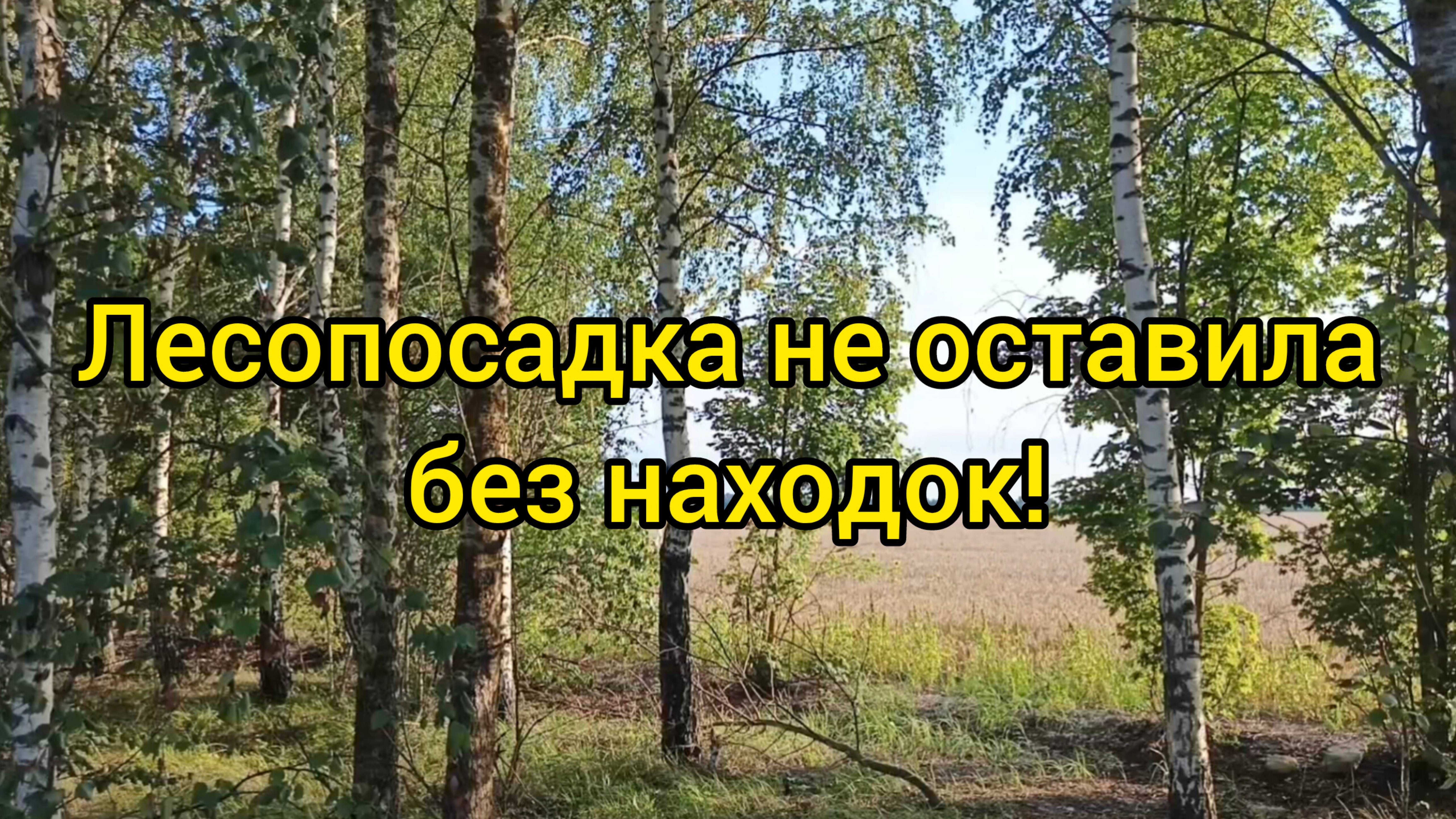 Лесопосадка не оставила без находок! С пустыми руками оттуда не уехали! смотреть онлайн