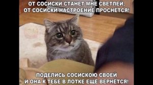 Разговоры с коллекторами 97