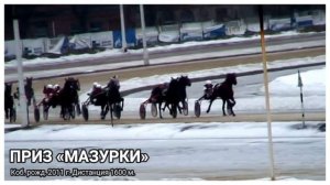 ЦМИ.Ипподром.Наталья Плессер.Часть-8.Сезон-2025.