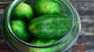 Квашеные огурцы с горчицей