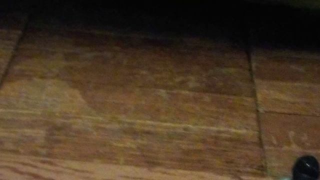 Мультик ЛЕОПАРД ЛЮДОЕД. Очень интересный мультфильм получился.