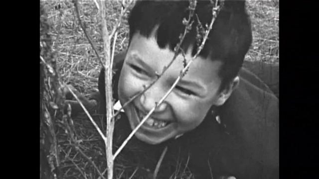 БЕЗЗАБОТНЫЙ смотреть онлайн