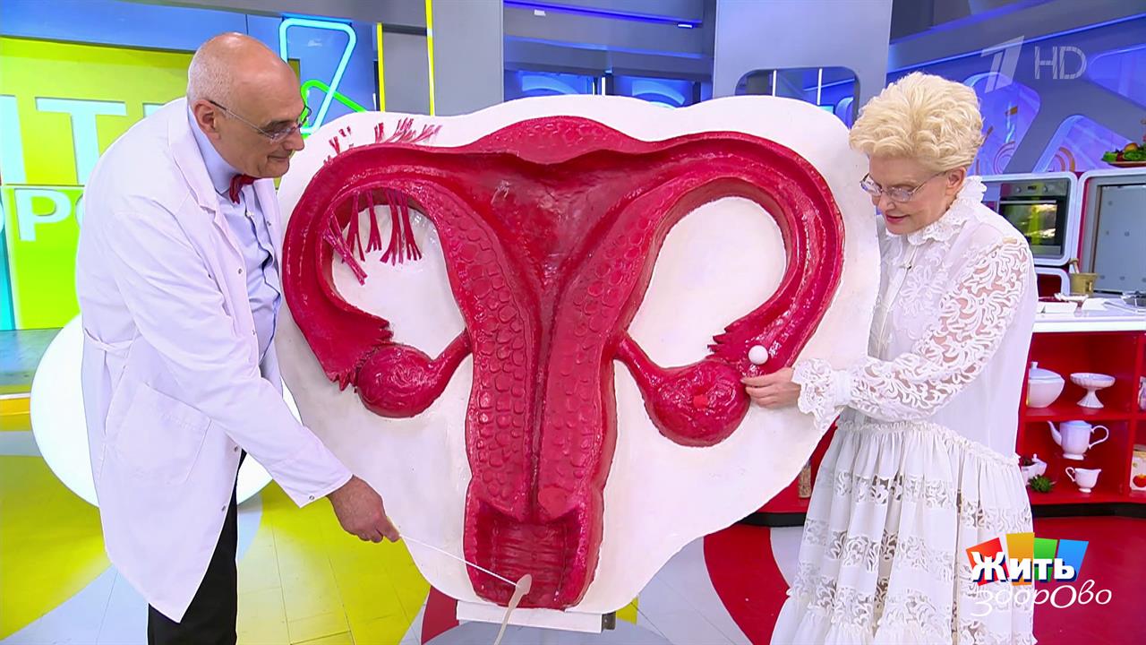 Когда нужна экстренная контрацепция? Жить здорово! Фрагмент выпуска от 02.10.2025