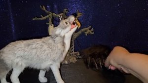 ЖИВЫЕ ОБЕРЕГИ ДЛЯ ВСЕХ...часть 1