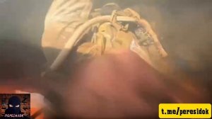 Видео с той стороны. Наш дрон догнал машину ВСУ