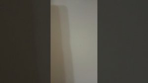 обзор на зверятыша из магнита