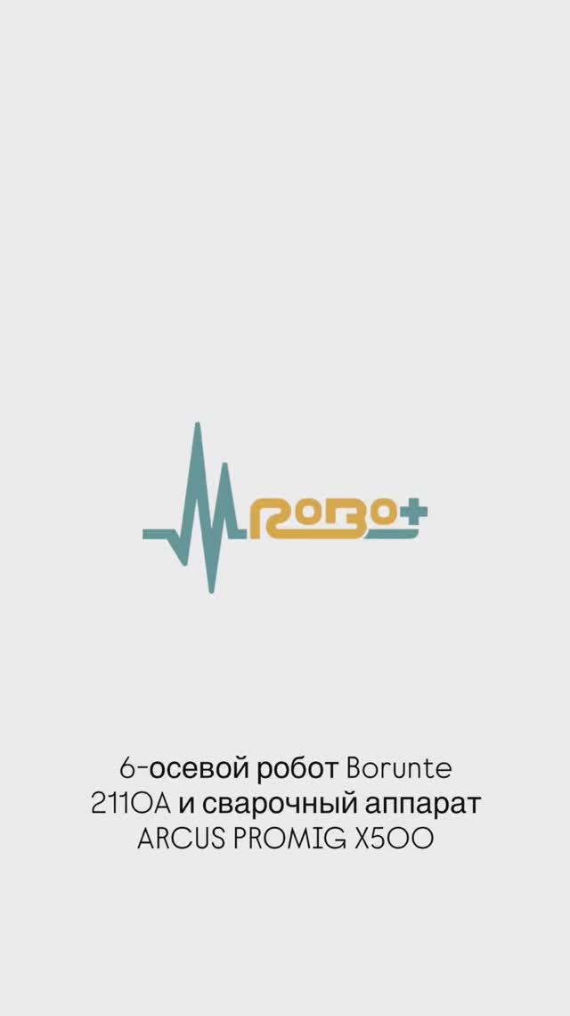 BORUNTE  ARCUS