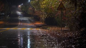 Мягкий звук дождя на дороге 🌧️ белый шум для глубокого сна и расслабления