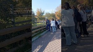 Корабли пустыни и не только Челябинского зоопарка