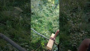 Домик на дереве