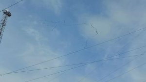 Журавли улетают.