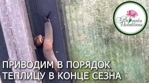 Приводим в порядок теплицу неотложные дела