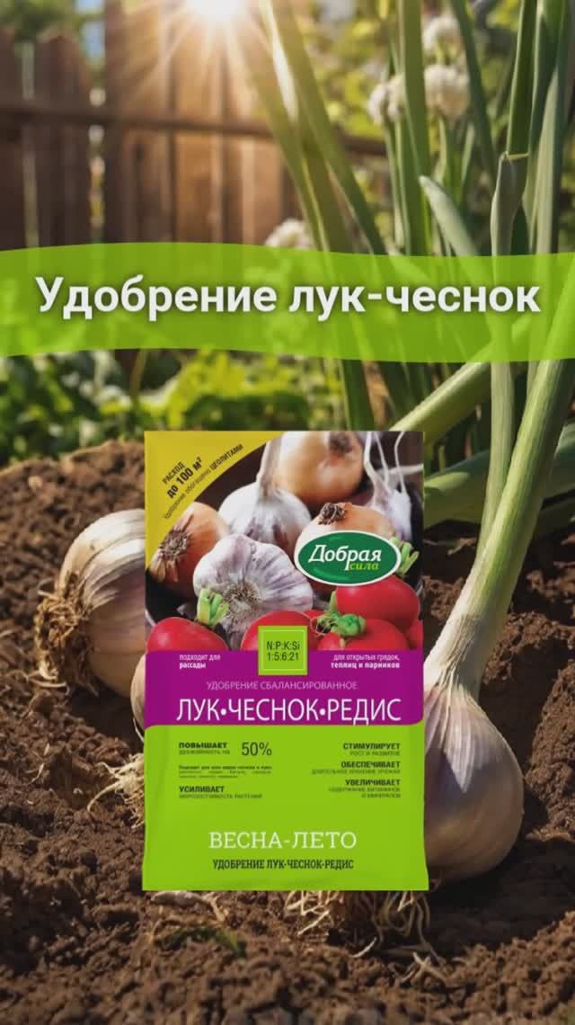 Удобрение для лука чеснока осеннее #лук #чеснок