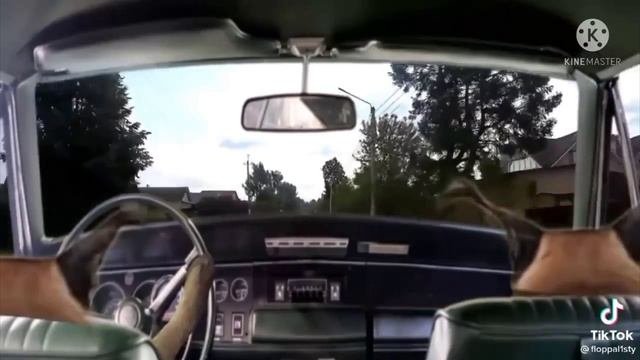 шлёпа