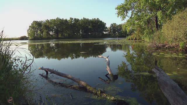 г Сызрань "без прикрас" п. Обшаровка ,(4) левая сторона Волги , протоки , луга . Восход на реке смотреть онлайн