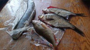 02-10-2025💥Влог💥четверг