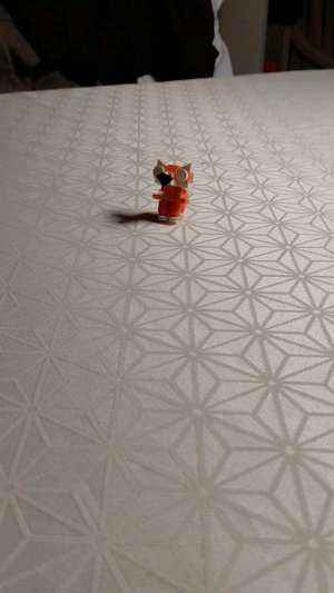 о кот