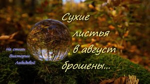Сухие листья в август брошены (Песня)
