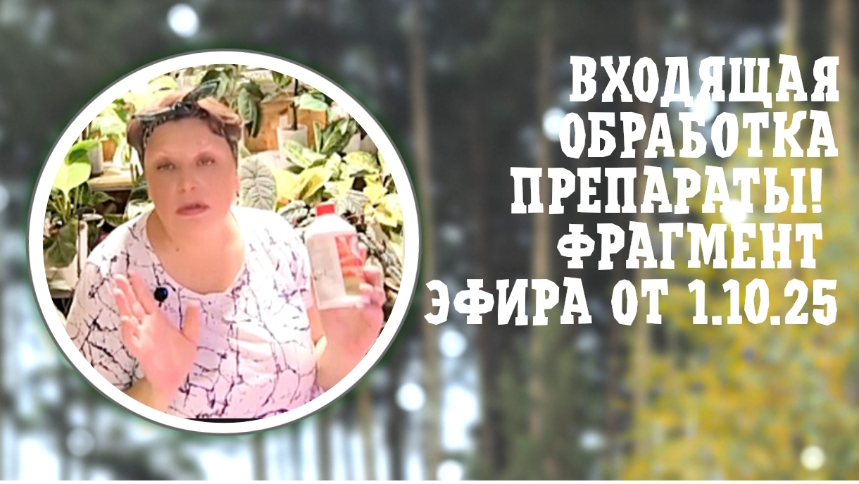 ВХОДЯЩАЯ ОБРАБОТКА. ПРЕПАРАТЫ. ФРАГМЕНТ ЭФИРА ОТ 1-10-2025