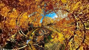 Видеофоны! Видеофон Осень-2 на пороге - футаж для монтажа видео!!!