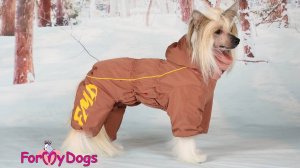 How to wear an overall from ForMyDogs correctly