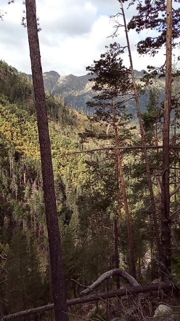 Карачаево-Черкессия Учкулан река Кызыл-Кол