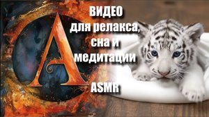 🐰🐻🐾🦊🐶  Залипательные AI ASMR -видео для релакса | ASMR-медитация | Тактильные миры |  Артгейм