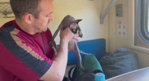 ПРОБУЮ КОНСЕРВЫ….ЭХ, НЕ УДАЛИСЬ😩. ПРИЕХАЛИ В УОЯН🤗