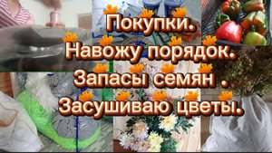 03-10-2025Покупки.Навожу порядок.Запасы семян.Засушиваю цветы.