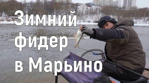Зимний фидер в Марьино