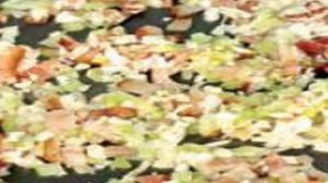 Мешочки из курицы с рисом