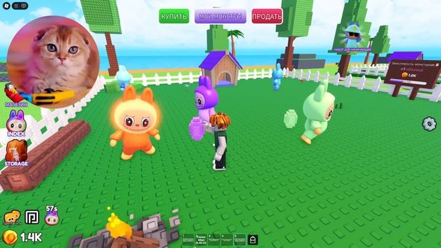 МОЙ ДЕТСКИЙ САДИК ЛАБУБУ! ВЫРАЩИВАЮ ДЕТЕЙ ЛАБУБУ В РОБЛОКС смотреть онлайн