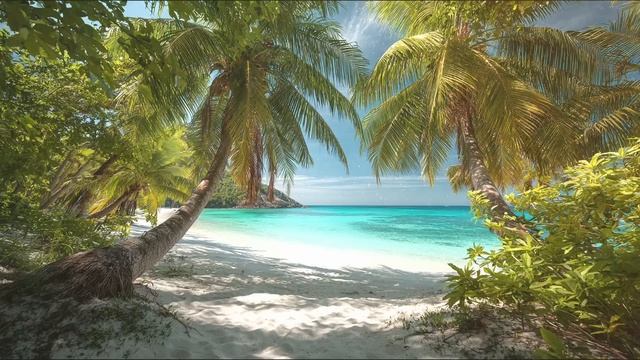 Chill & Lounge Summer Relaxing Music for Stress Relief, Study, Sleep Летний Чилл и Лаунж смотреть онлайн