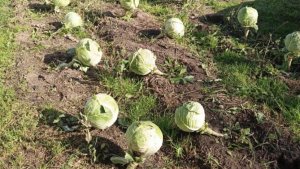 03-10-2025💥Влог💥пятница 📖комментарии