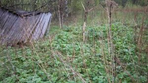 Какой участок считается заброшенным, и что с ним могут сделать