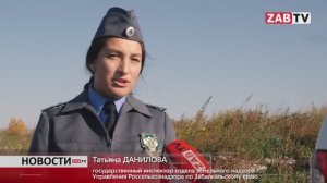 Россельхознадзор по Забайкальскому краю о несанкционированных свалках на землях сельхозназначения