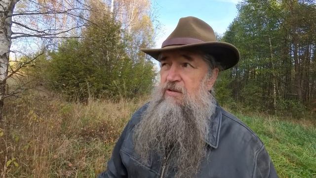 Коллективное мышление эффективней индивидуального