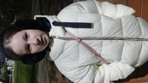 Осень. Майков А.Н.