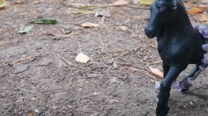 Клип : я ломаю твои кости. Лошади шляйх видео