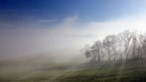 Летний дождь