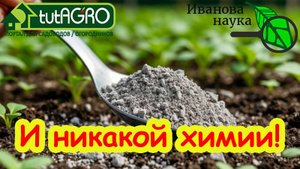1 ЛОЖКА ЭТОГО ПОРОШКА и КОМПОСТНАЯ КУЧА ПРСЯДЕТ ДАЖЕ В МОРОЗ! Рыхлый плодородный компост уже весной.