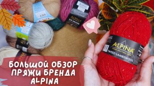 БОЛЬШОЙ ОБЗОР ПРЯЖИ | Бренд Alpina | 8 осенних и зимних артикулов