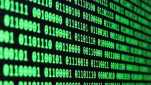 Анатомия Мозга : Коды Управления Чувствами женщин