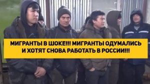 МИГРАНТЫ В ШОКЕ!!! МИГРАНТЫ ОДУМАЛИСЬ И ХОТЯТ СНОВА РАБОТАТЬ В РОССИИ!!!